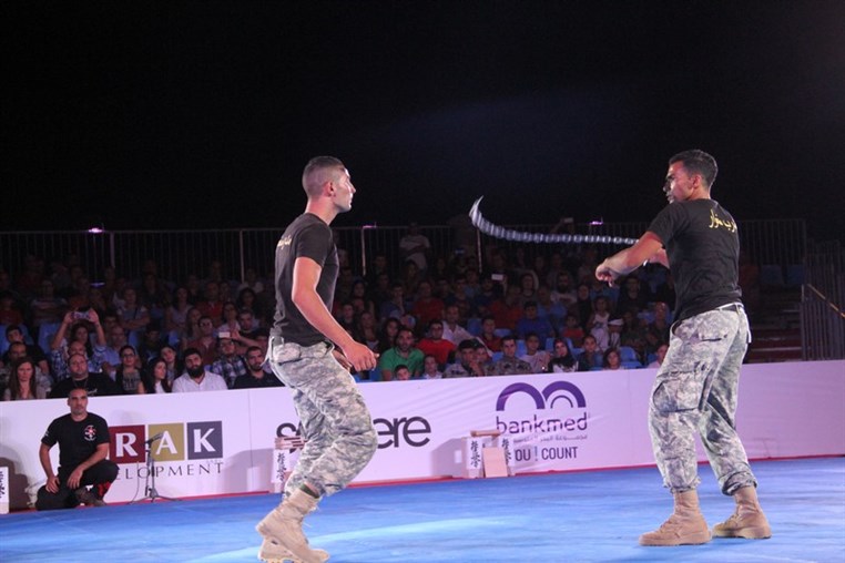 Martial Arts Festival